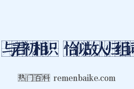 与君初相识·恰似故人归组词是什么意思的图片